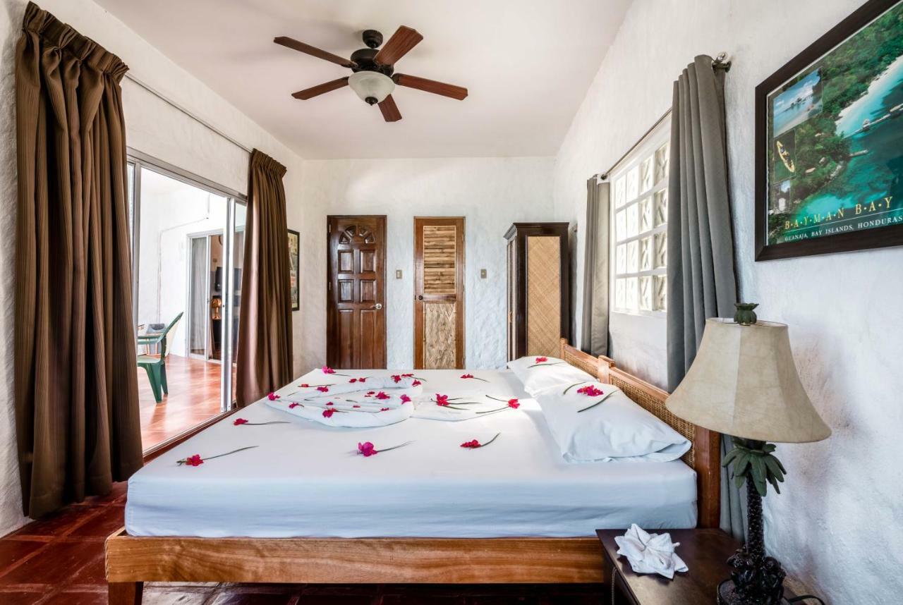 สแกนดี้ ไดเวอร์ Hotel ปูแอร์โตกาเลรา ภายนอก รูปภาพ